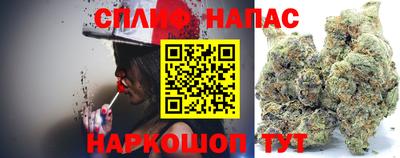 индика Бузулук